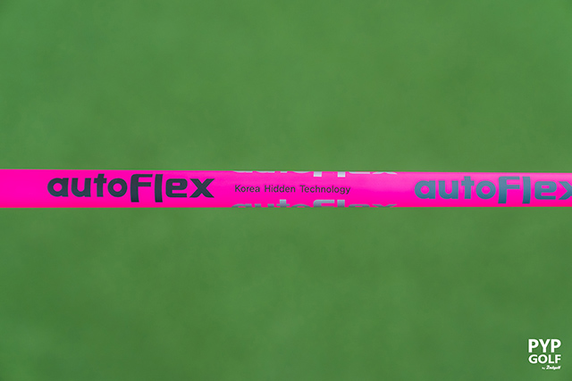 AUTOFLEX SF Iron