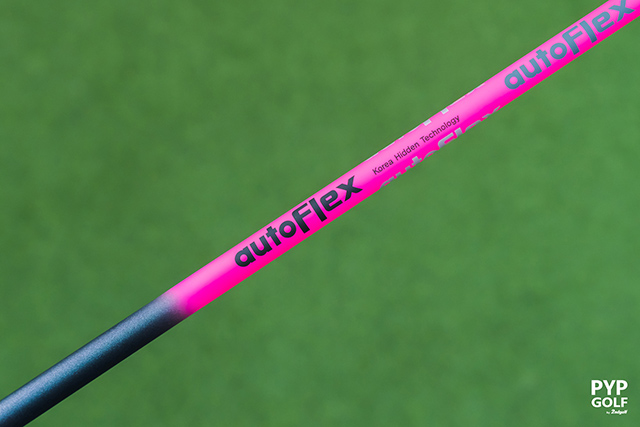 AUTOFLEX SF Iron