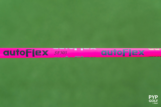 AUTOFLEX SF Iron