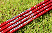 Driver Shaft NIPPON N.S.PRO Regio Formula M